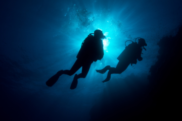 top places to scuba dive on Maui