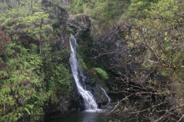 TOP ROAD TO HANA TOURS